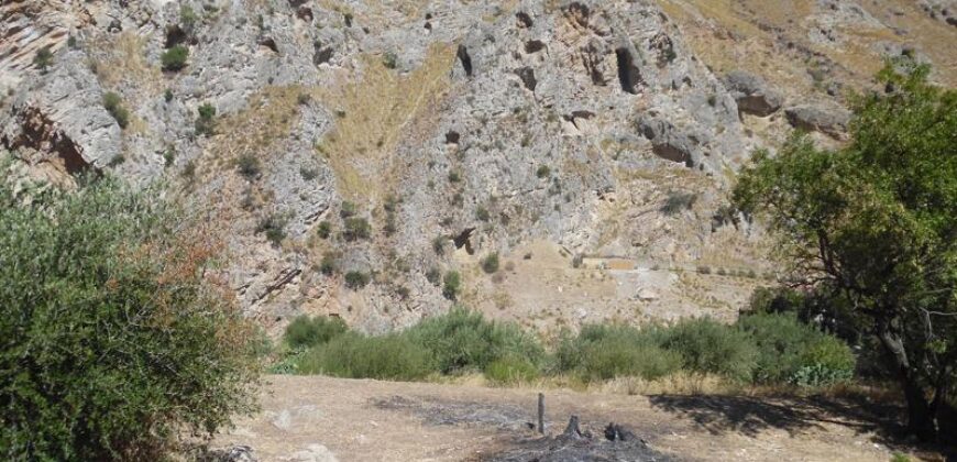 Termini Imerese: terreno agricolo contrada Chiusa