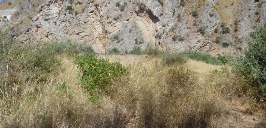 Termini Imerese: terreno agricolo contrada Chiusa