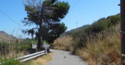 Termini Imerese: terreno agricolo contrada Chiusa