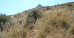 Termini Imerese: terreno agricolo contrada Chiusa