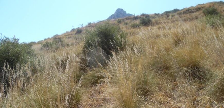 Termini Imerese: terreno agricolo contrada Chiusa