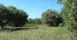 Termini Imerese: terreno edificabile contrada Bragone