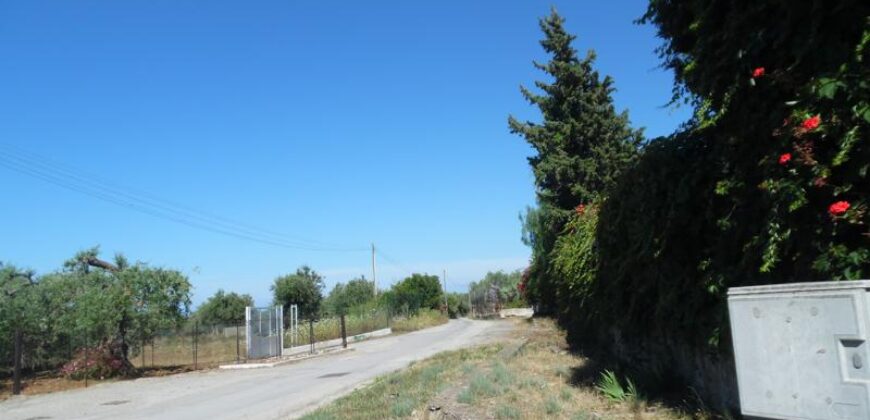 Termini Imerese: terreno edificabile contrada Bragone