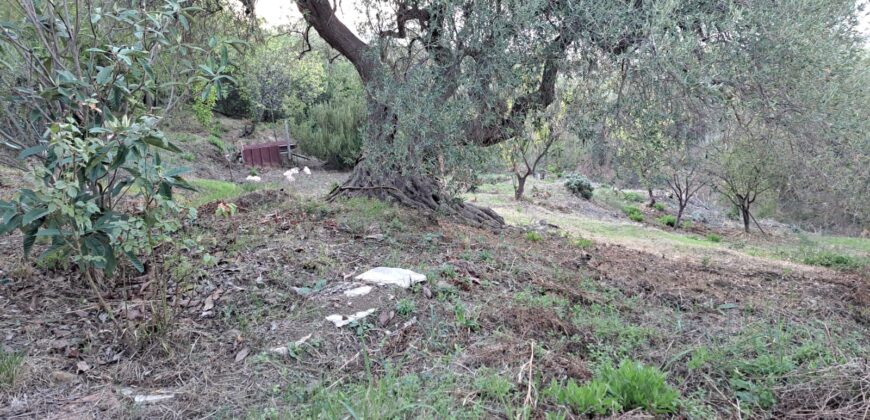 Termini Imerese: terreno agricolo contrada Cortevecchia