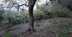 Termini Imerese: terreno agricolo contrada Cortevecchia