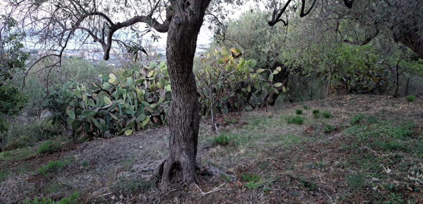 Termini Imerese: terreno agricolo contrada Cortevecchia