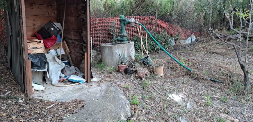 Termini Imerese: terreno agricolo contrada Cortevecchia