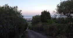 Termini Imerese: terreno agricolo contrada Cortevecchia