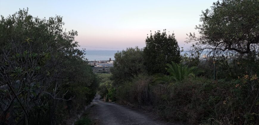 Termini Imerese: terreno agricolo contrada Cortevecchia