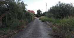 Termini Imerese: terreno agricolo contrada Cortevecchia