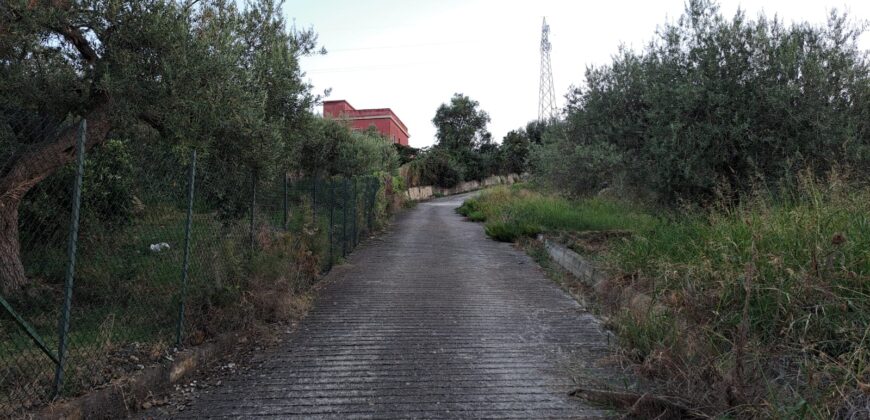 Termini Imerese: terreno agricolo contrada Cortevecchia